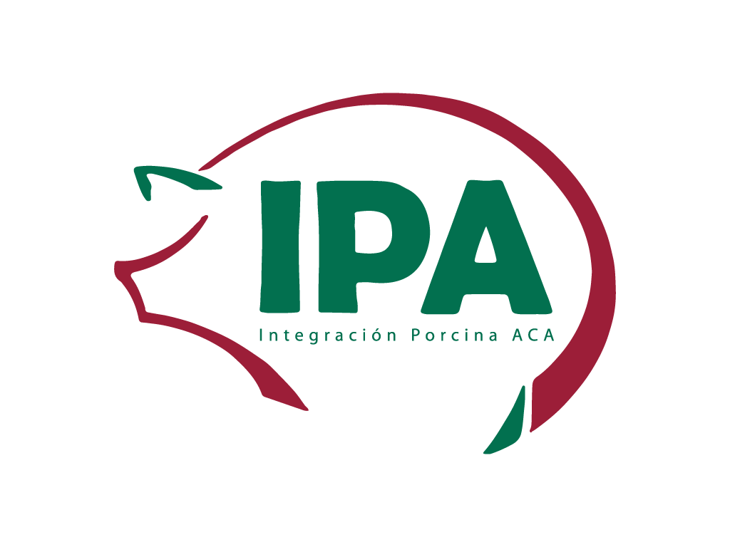 IPA